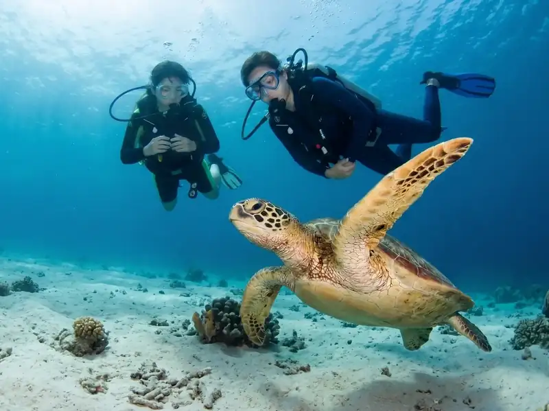 Scuba diving Sipadan to see huge schools of fish with Parapat Water Village Resort near the Tun Sakaran Marine Park.